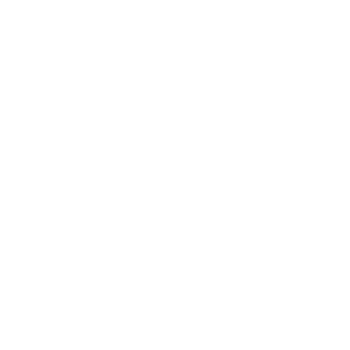 building-security-icon