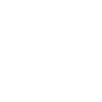 security-for-events-icon